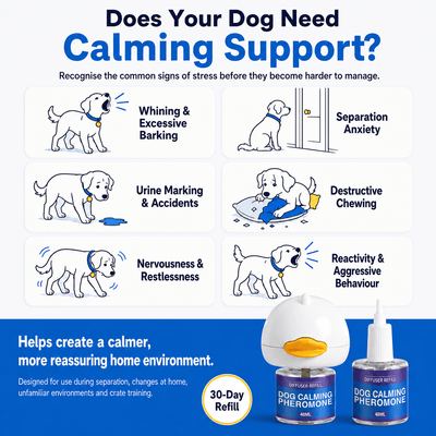 Pawsora - Dog Diffuser - DAP Pheromone - Dog appeasing pheromone - Pet Diffuser - Dog sleep - Dog anxiety