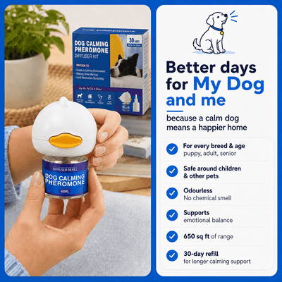 Pawsora - Dog Diffuser - DAP Pheromone - Dog appeasing pheromone - Pet Diffuser - Dog sleep - Dog anxiety