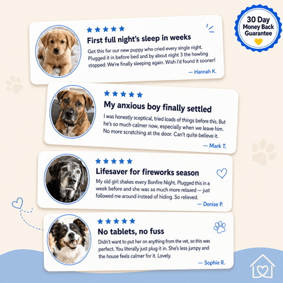 Pawsora - Dog Diffuser - DAP Pheromone - Dog appeasing pheromone - Pet Diffuser - Dog sleep - Dog anxiety